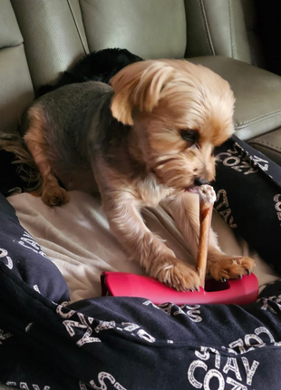 5-6 Inch Collagen Stick