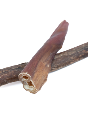 5-6 Inch Champion Chew