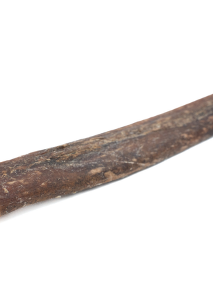 5-6 Inch Champion Chew