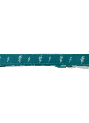 Thunderstruck Collar