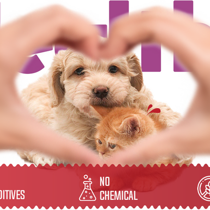 Freeze Dried Chicken Waffle Treats