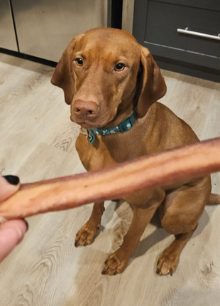 6 Inch Jumbo Bully Stick