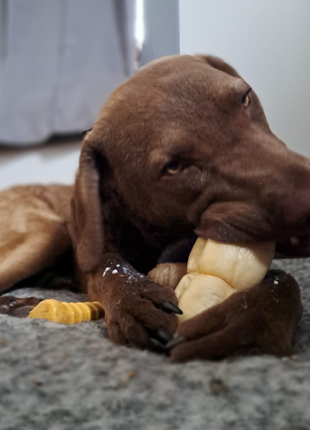 5-6 Inch Peanut Butter Cheek Roll