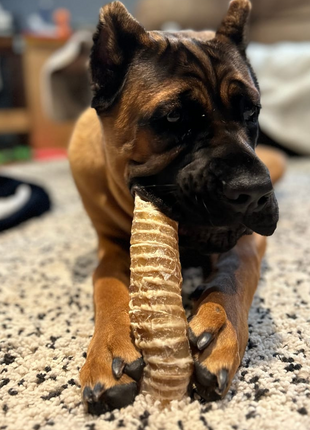 6 Inch Beef Trachea