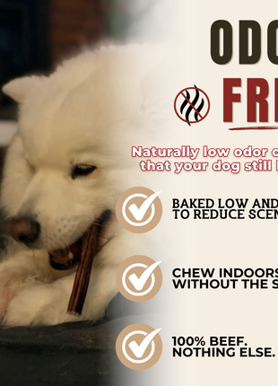 5-6 Inch Champion Chew