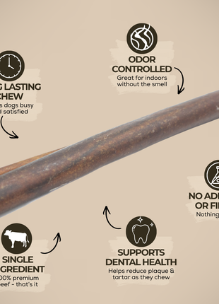 5-6 Inch Collagen Stick