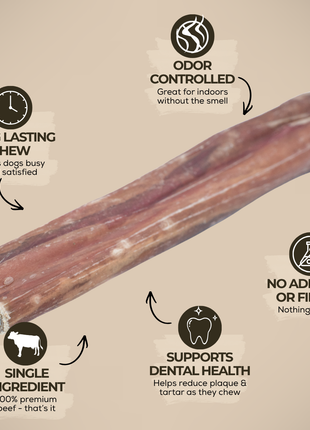 5-6 Inch Champion Chew