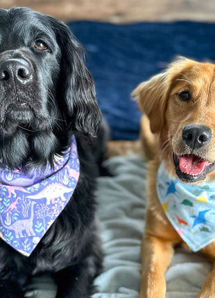 "Grey Flowers" Dog Bandana