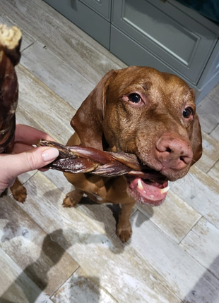 6 Inch Braided Jerky Stick