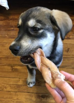 6 Inch Jumbo Braided Bully Stick