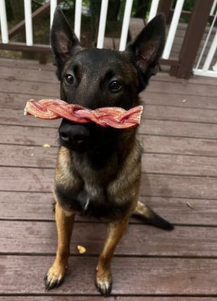 6 Inch Monster Braided Bully Stick