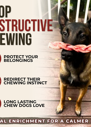 6 Inch Monster Braided Bully Stick
