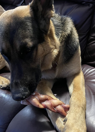 6 Inch Monster Braided Bully Stick