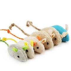 Collection image for: Cat Toys