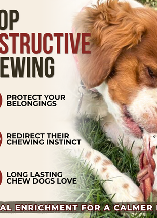 6 Inch Standard Braided Bully Stick