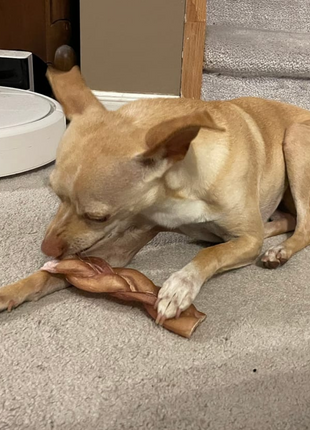 6 Inch Thick Braided Bully Stick