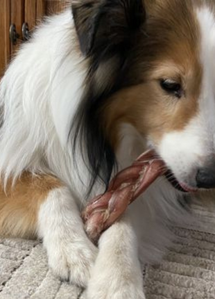 6 Inch Thick Braided Bully Stick