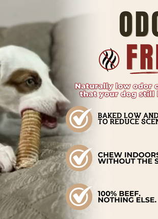 6 Inch Beef Trachea