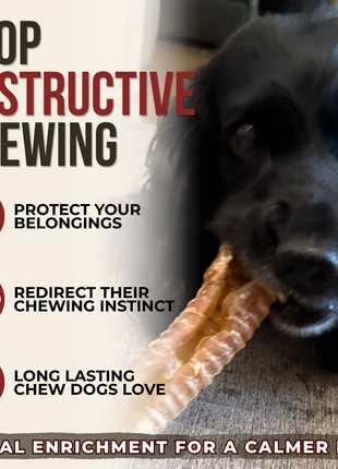 6 Inch Beef Trachea