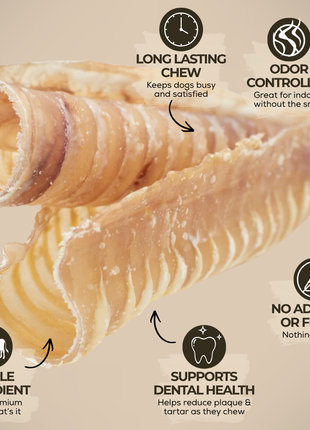 6 Inch Beef Trachea