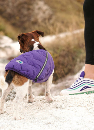 Sustainable Eco-Friendly Dog Jacket / Vest - Made in Ukraine
