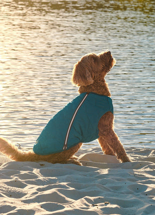 Sustainable Eco-Friendly Dog Jacket / Vest - Made in Ukraine