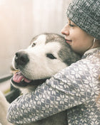Dog Behaviour Training Online Bundle, 5 Certificate Courses