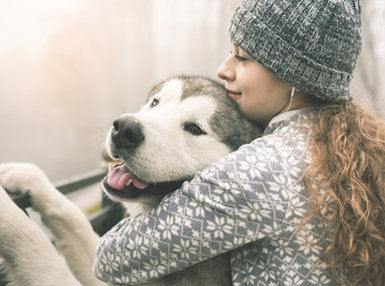 Dog Nutrition Online Bundle, 5 Certificate Courses