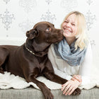 Ultimate Dog Nutrition Online Bundle, 10 Certificate Courses