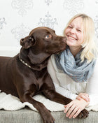 Ultimate Dog Nutrition Online Bundle, 10 Certificate Courses