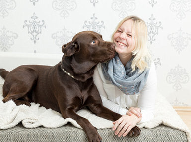 Ultimate Dog Nutrition Online Bundle, 10 Certificate Courses