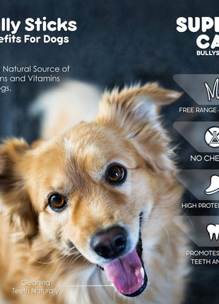 12" Standard Bully Sticks