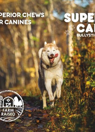 12" Standard Bully Sticks