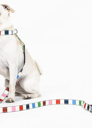 Kate Spade Adventure Stripe Small Leash
