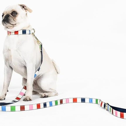 Kate Spade Adventure Stripe Walk Set Small