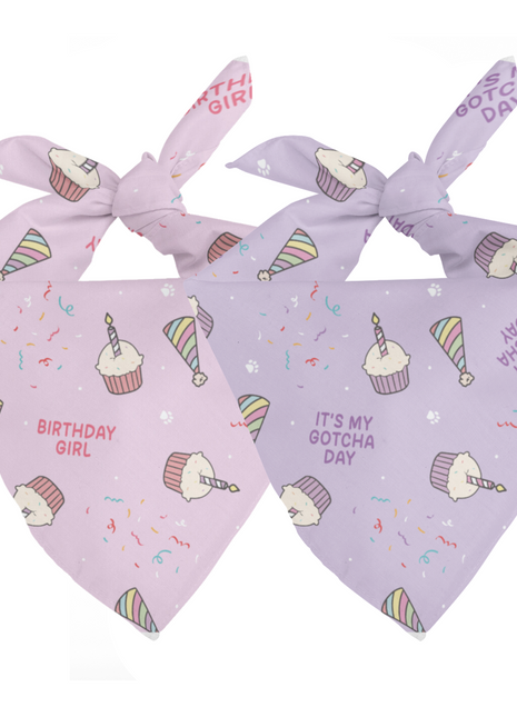 Birthday Girl & Gotcha Day Dog Bandana