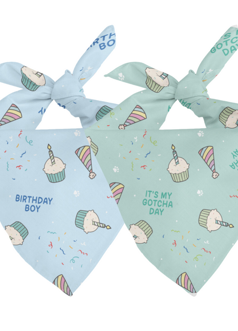Birthday Boy & Gotcha Day Dog Bandana