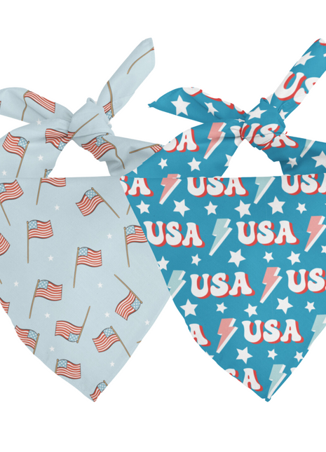 USA Dog Bandana