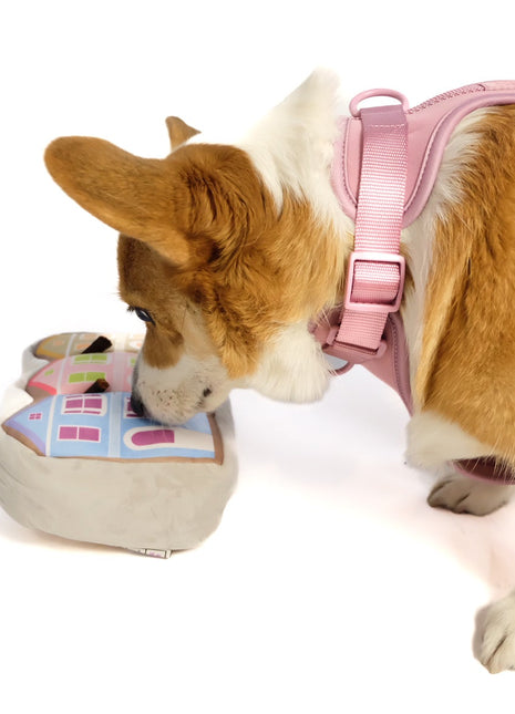 Painted Ladies Nose Work Dog Toy