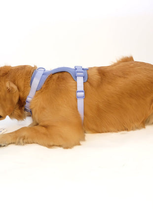 Croissant Nose Work Toy / Enrichment Toy