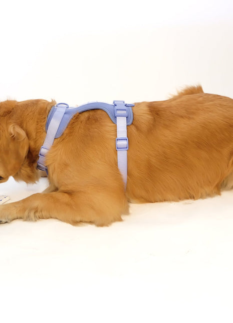 Croissant Nose Work Toy / Enrichment Toy