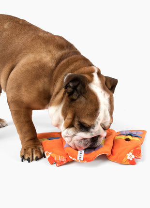 Aloha Nose Work Dog Toy