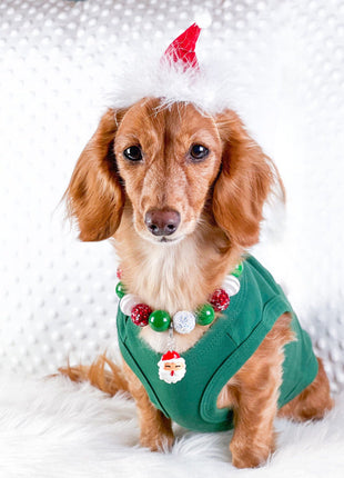 Parisian Pet 'Dear Santa Define Good' Dog Christmas T-Shirt - Festive Pet Shirt for Cats & Dogs, Green