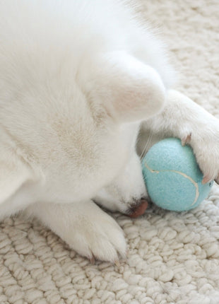 So Fetch! Tennis Ball - Cloud