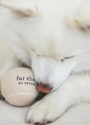 So Fetch! Tennis Ball - Latte