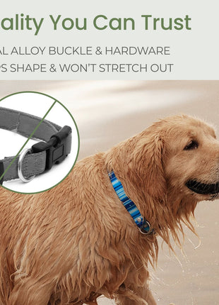 Waterproof Dog Collars – Washable Dog Collar, Stink-Proof & Durable