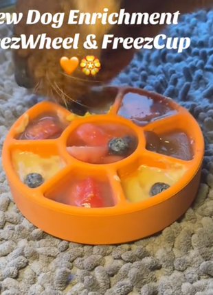 FreezWheel - Durable Interactive Chew