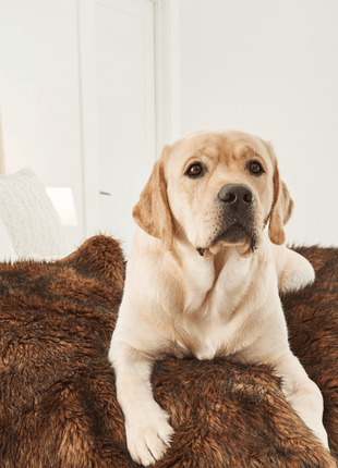 PupProtector™ Waterproof Throw Blanket - Brown