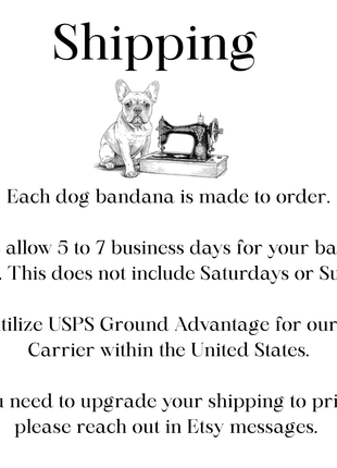 Spring Flowers Dog Bandana New Arrivals