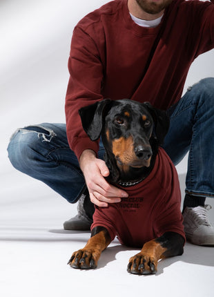 Terry Pullover